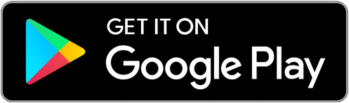 Play Store Play Store