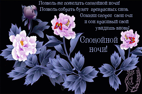 Плейкаст с пожеланием спокойной ночи Плейкаст с пожеланием спокойной ночи
