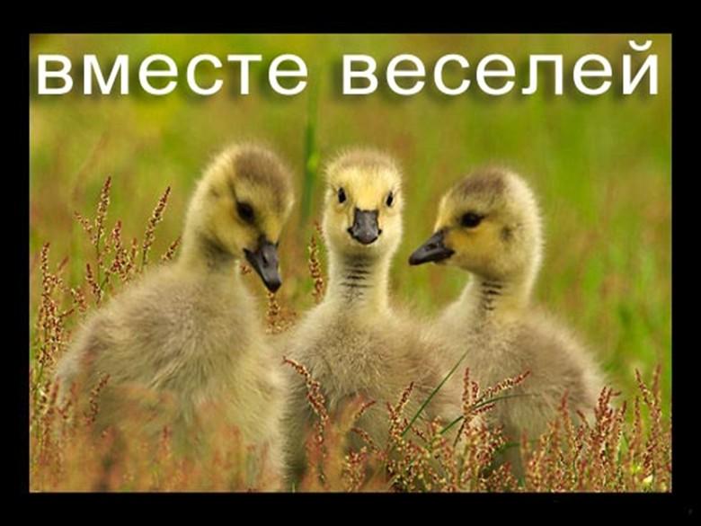 Мы все вместе открытка Мы все вместе открытка