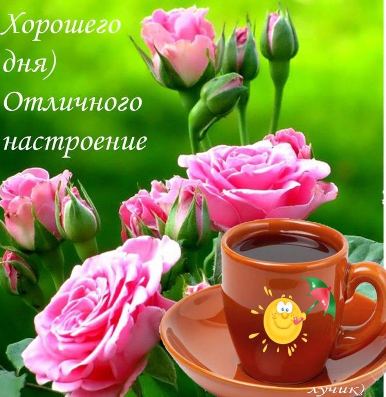 Открытки к хорошему дню Открытки к хорошему дню