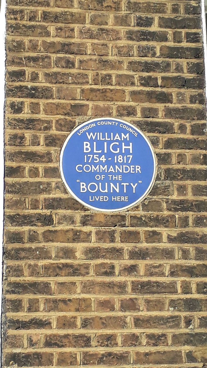 captain-bligh-house-mutiny.jpg
