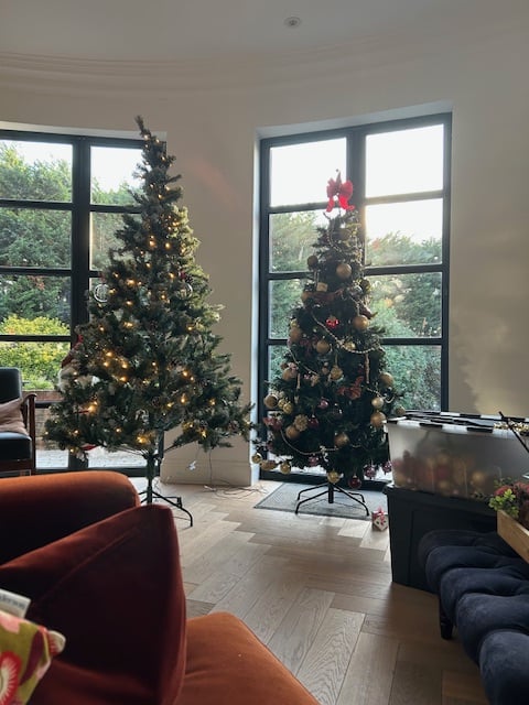 Image: https://us.v-cdn.net/5000498/uploads/editor/0f/wbwv57ffi2dd.jpg