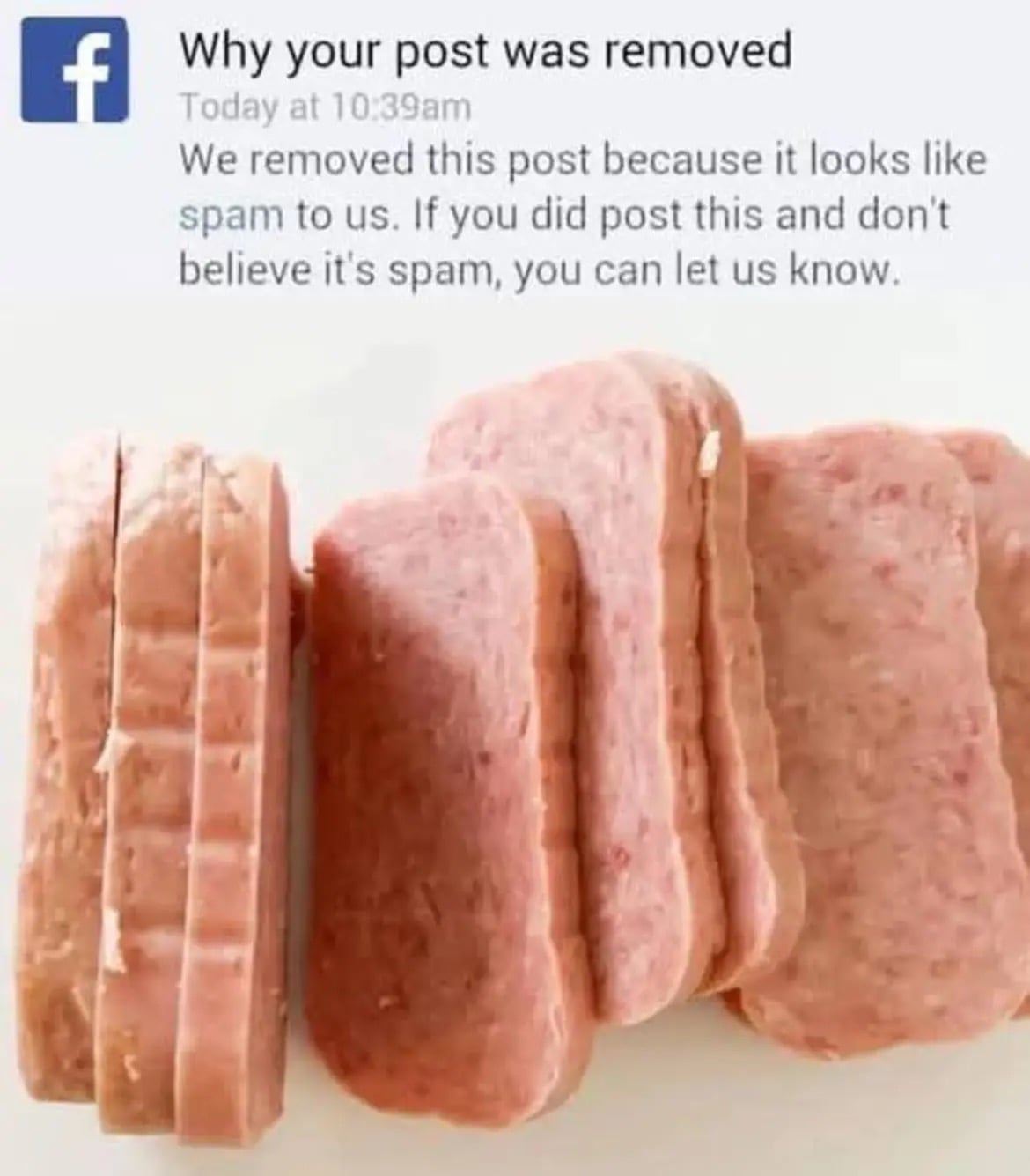 Image: https://us.v-cdn.net/5000498/uploads/editor/33/ailpy8fbv892.jpeg