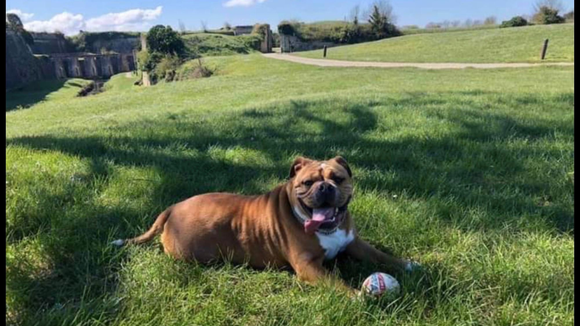 Image: https://us.v-cdn.net/5000498/uploads/editor/37/yy7xun4ei50n.jpeg