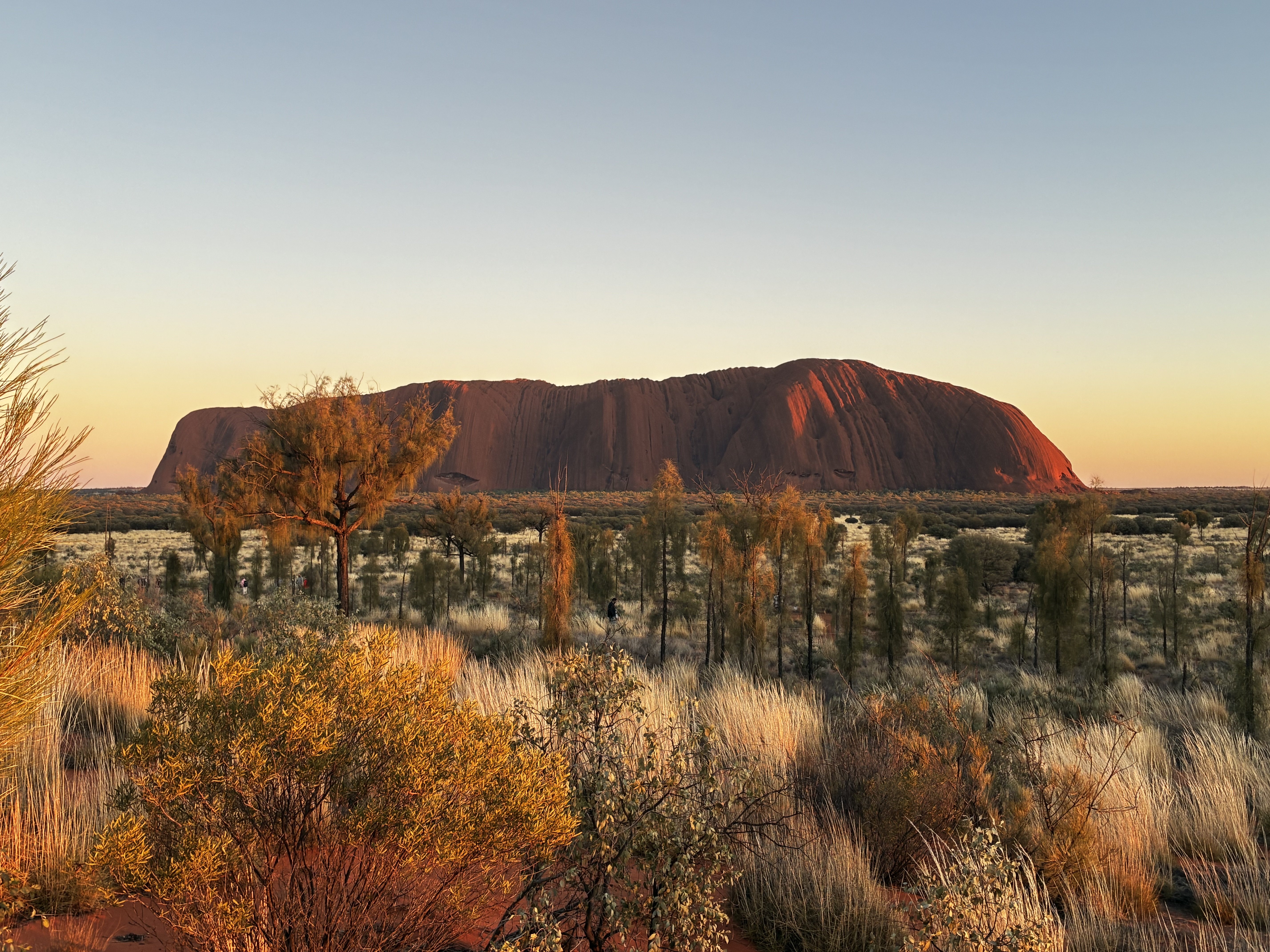 Image: https://us.v-cdn.net/5000498/uploads/editor/52/yu321pl13ck6.jpeg