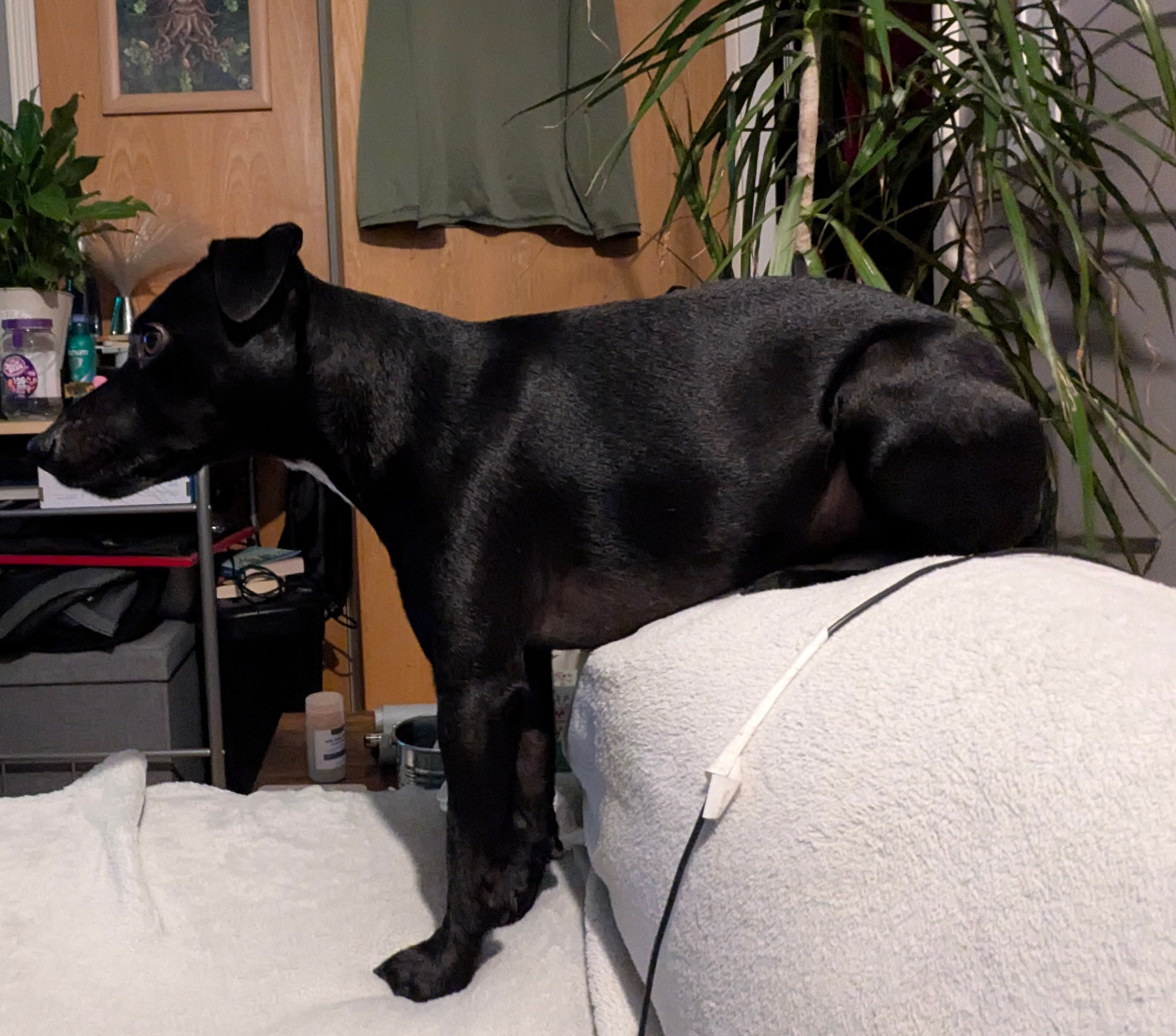 Image: https://us.v-cdn.net/5000498/uploads/editor/5x/at14kss7ezog.jpg