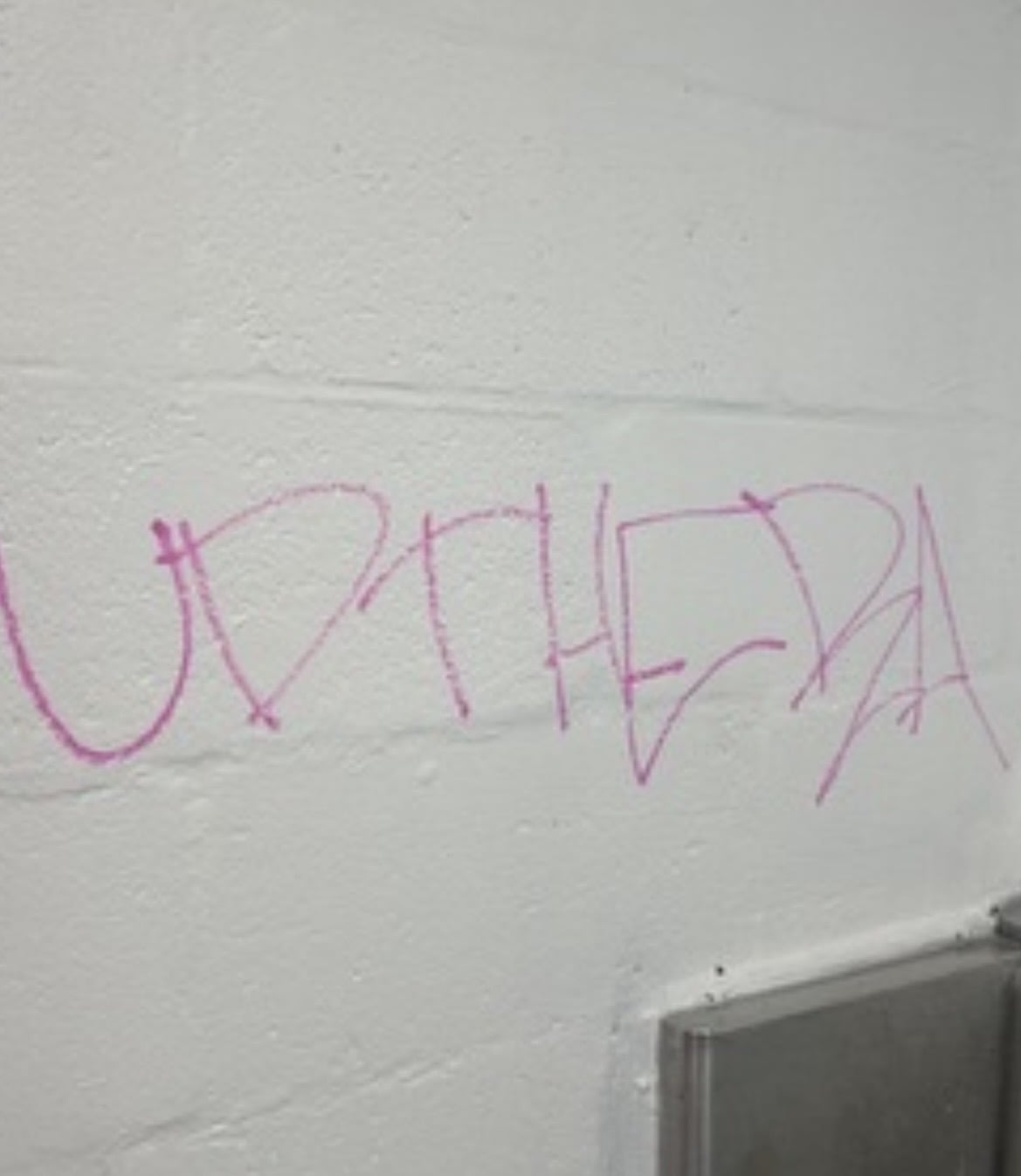 Image: https://us.v-cdn.net/5000498/uploads/editor/b1/avq9rw1qwuzr.jpeg