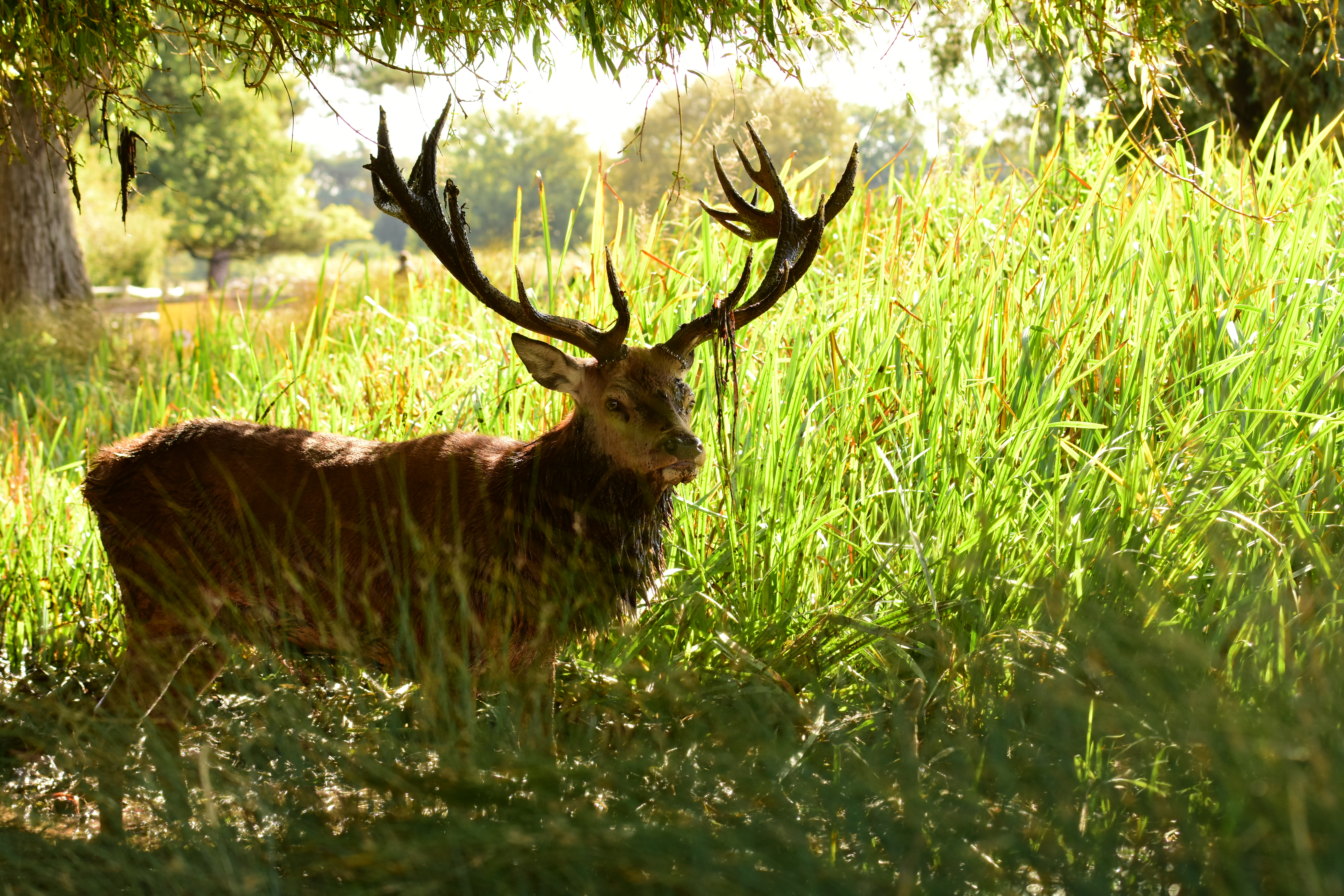 Image: https://us.v-cdn.net/5000498/uploads/editor/d4/i2ryetasu6n5.jpg