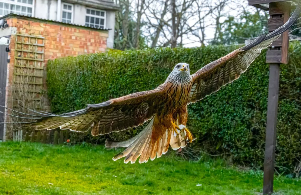 Image: https://us.v-cdn.net/5000498/uploads/editor/ew/g9bqs539sltz.png