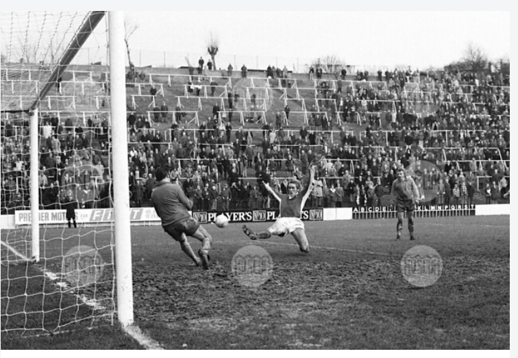 Image: https://us.v-cdn.net/5000498/uploads/editor/gw/7q5utun9leaw.png