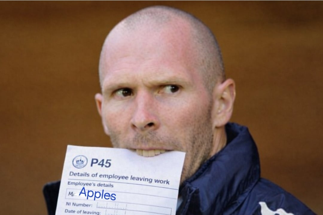 Image: https://us.v-cdn.net/5000498/uploads/editor/hc/zfxbq47qi1nn.jpg