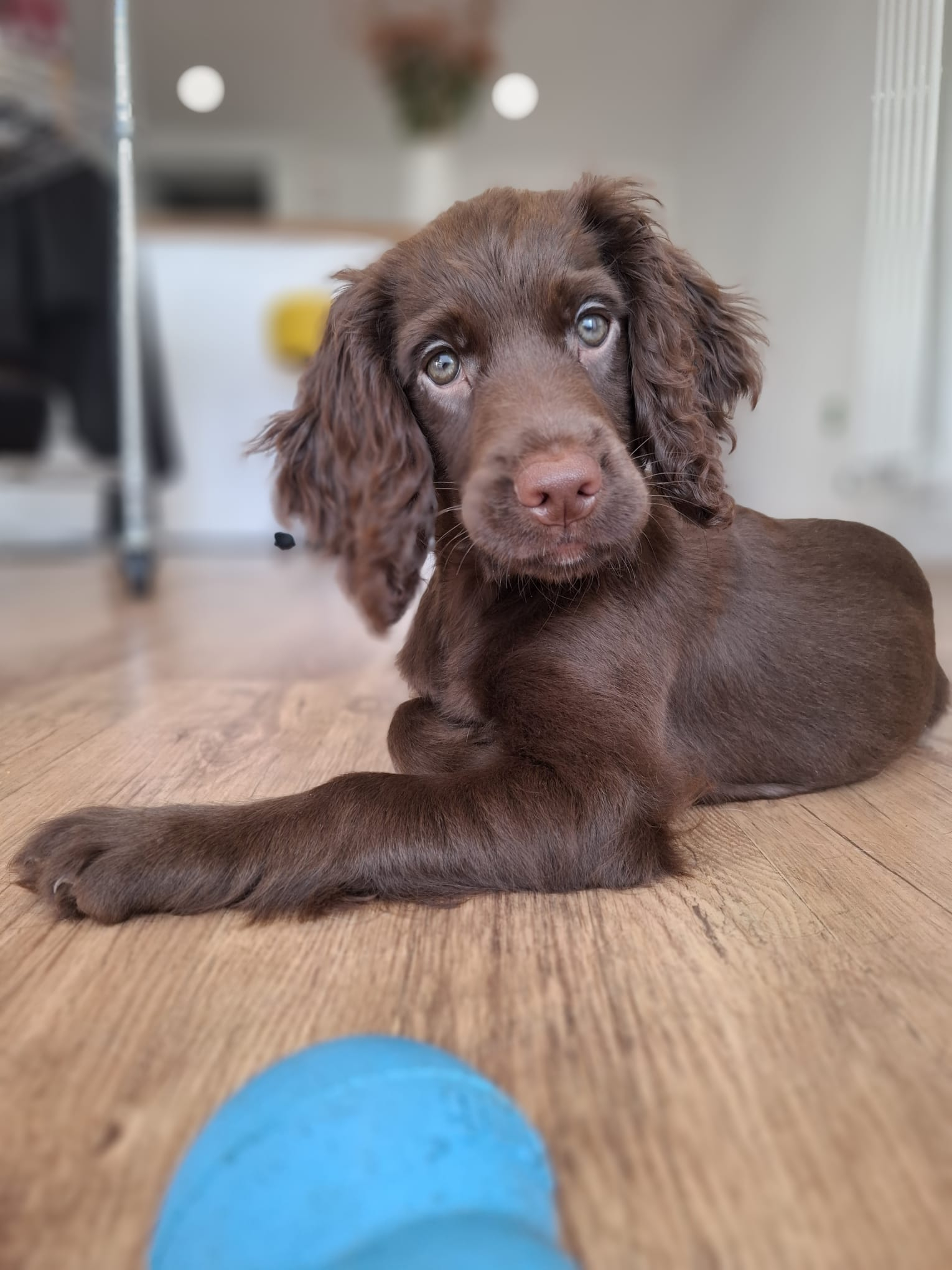 Image: https://us.v-cdn.net/5000498/uploads/editor/lg/lcjyc80lv9or.jpg