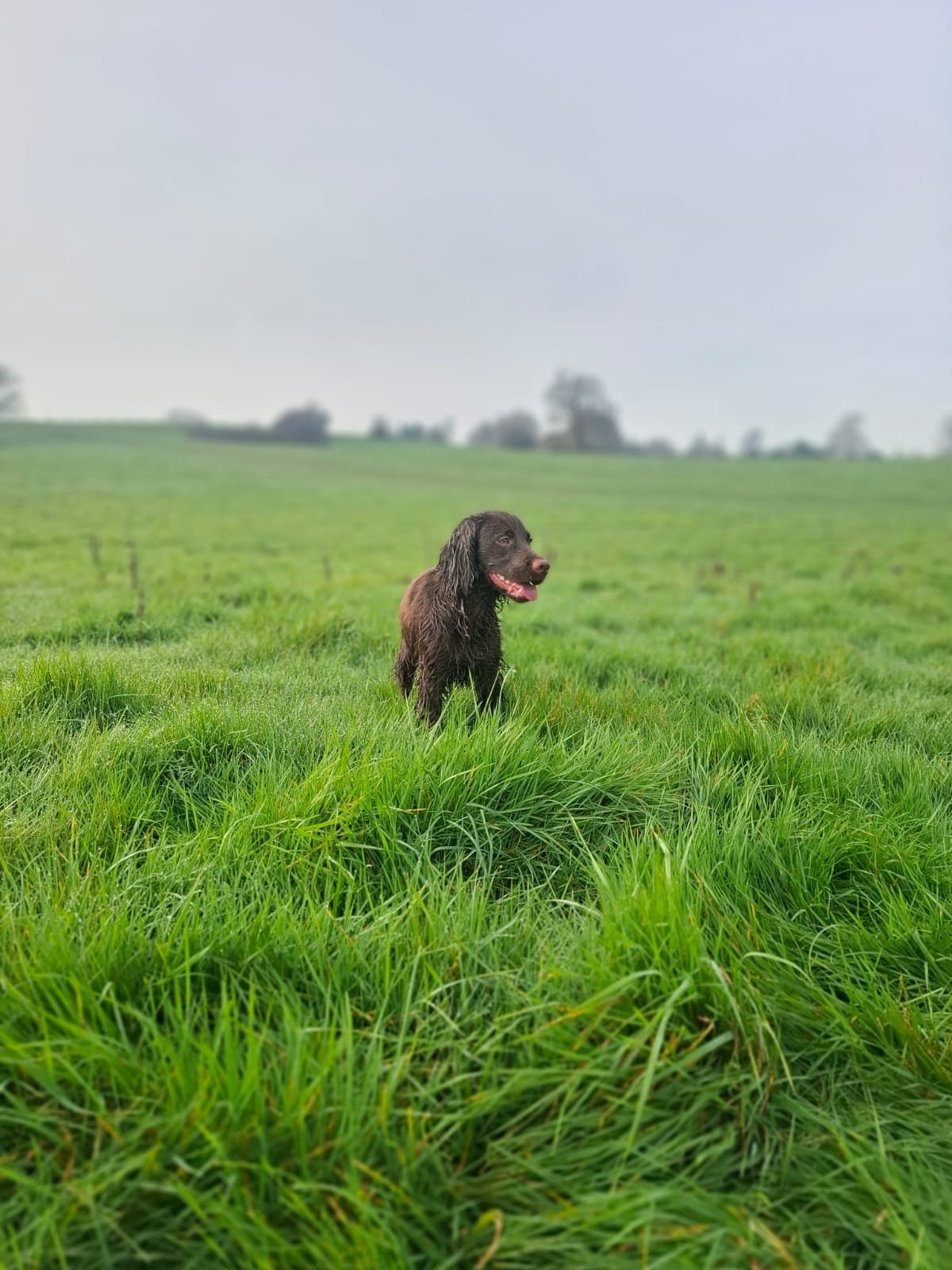 Image: https://us.v-cdn.net/5000498/uploads/editor/n1/50dhcdxeb5yf.jpg