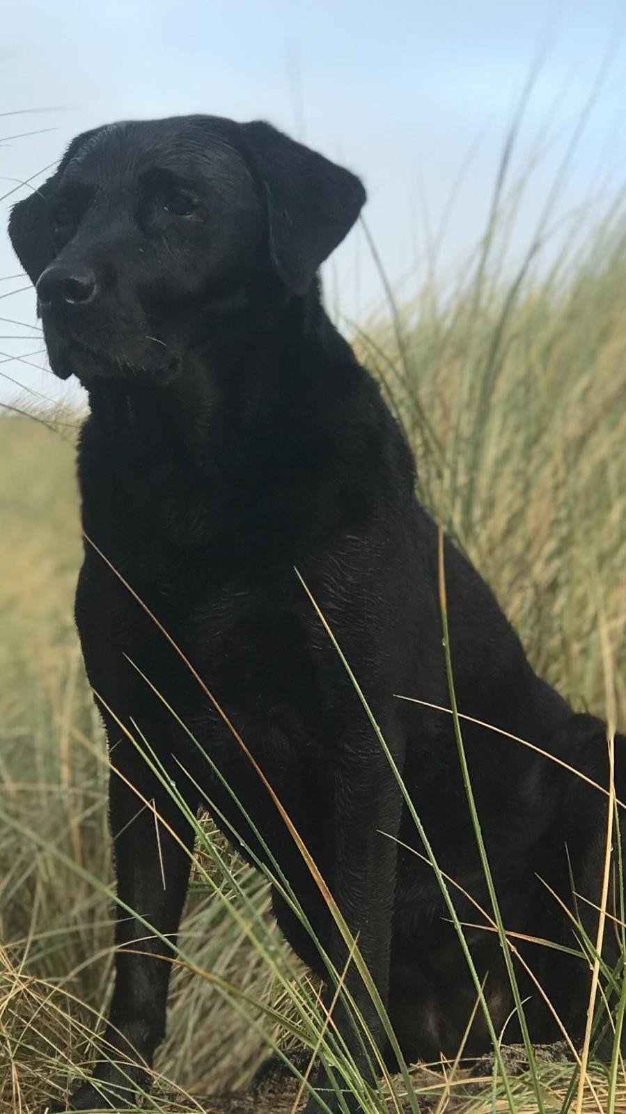 Image: https://us.v-cdn.net/5000498/uploads/editor/qs/s60a1444iaoy.jpeg