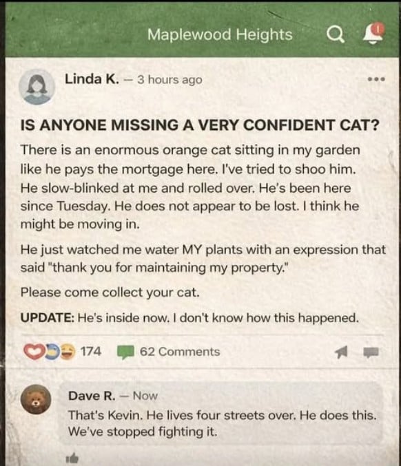 Image: https://us.v-cdn.net/5000498/uploads/editor/rf/3ht4pj8jp6uf.jpg