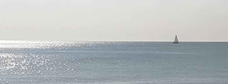 Image: https://us.v-cdn.net/5000498/uploads/editor/to/n79j1hejhp2k.jpg