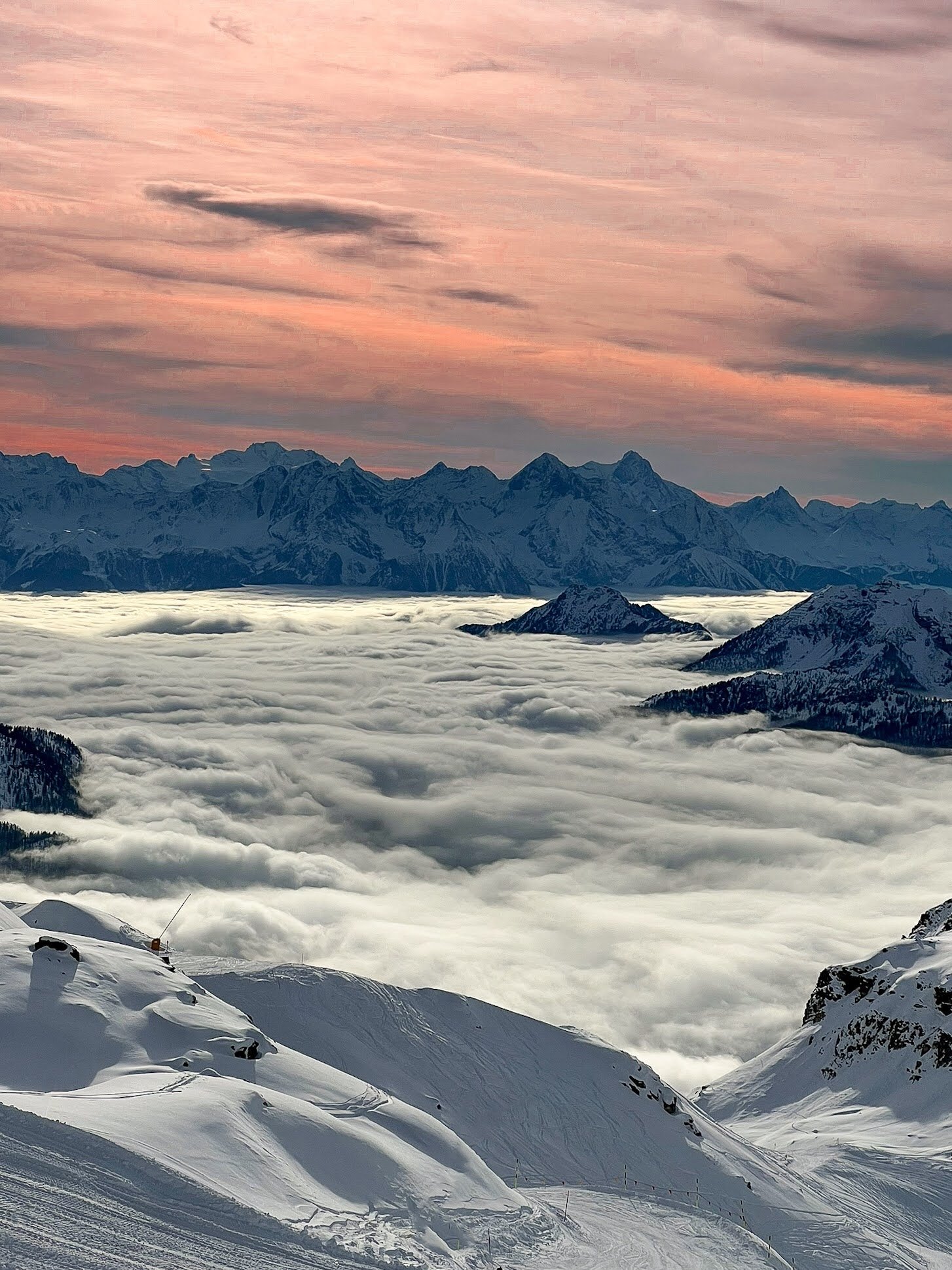 Image: https://us.v-cdn.net/5000498/uploads/editor/tq/1cve0tlqmab9.jpeg