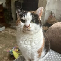 Sillybilly