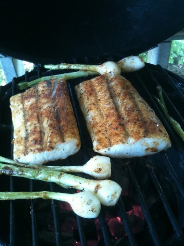 grouper — Big Green Egg Forum