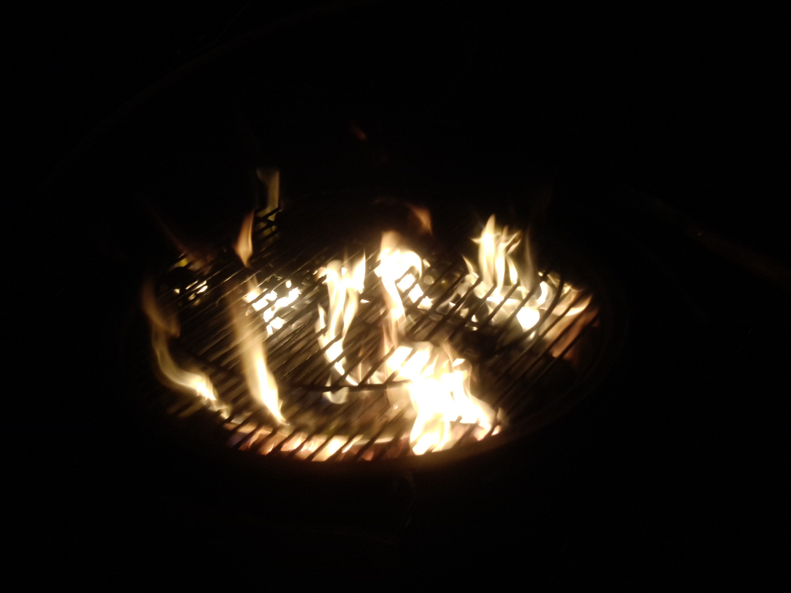 Grease Fire! — Big Green Egg Forum