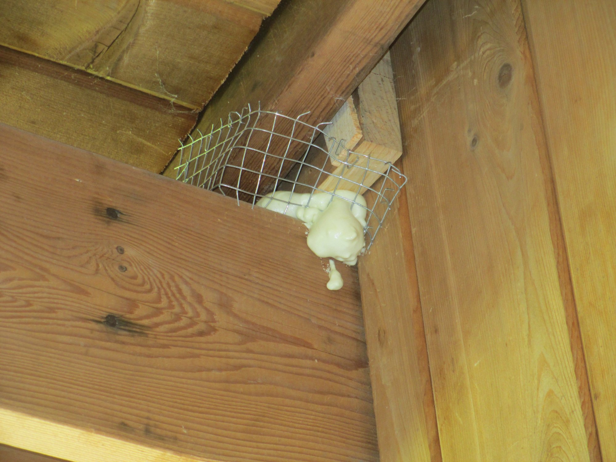 Image: https://us.v-cdn.net/5017260/uploads/editor/0f/knobcjm4a62v.jpg