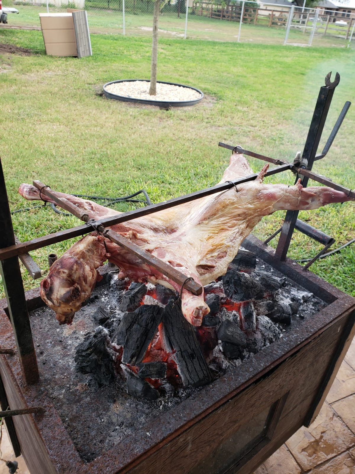 Image: https://us.v-cdn.net/5017260/uploads/editor/0x/os1wo4oiqp0c.jpeg