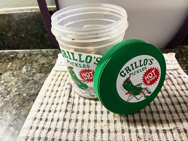 Image: https://us.v-cdn.net/5017260/uploads/editor/1g/adukaqfcxndo.jpg