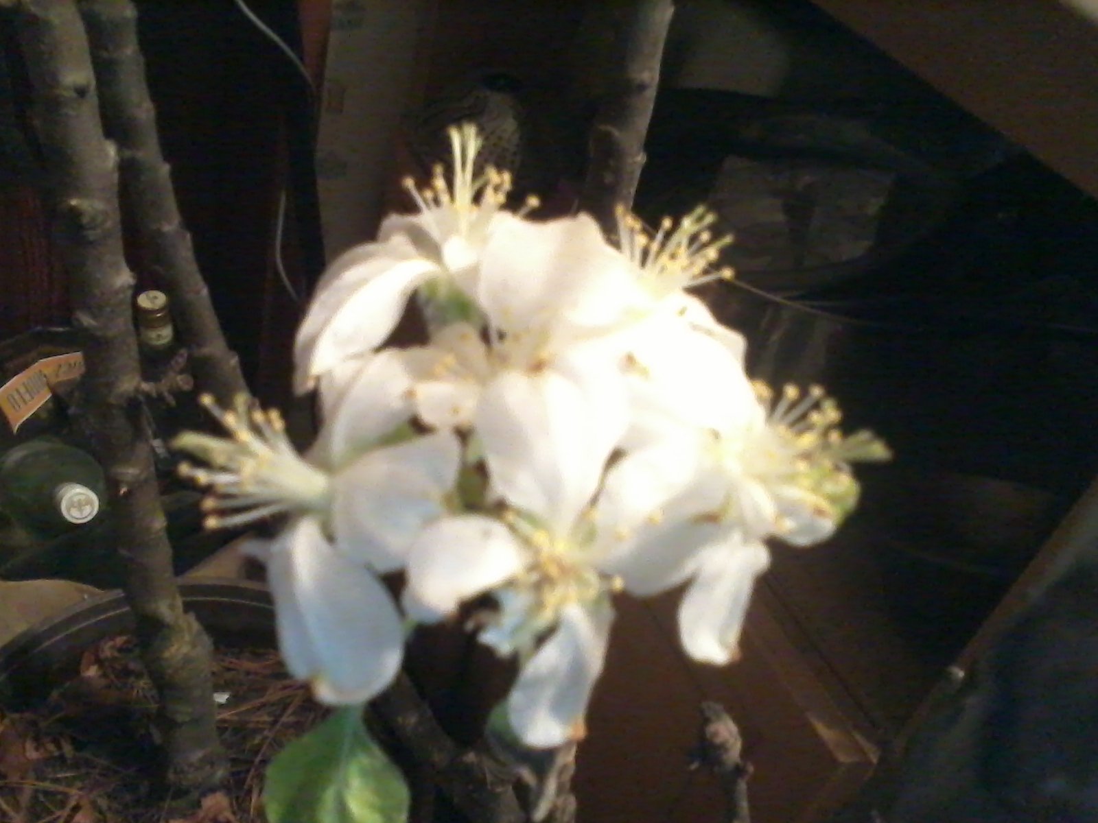 Image: https://us.v-cdn.net/5017260/uploads/editor/1n/ng613zirsaix.jpg