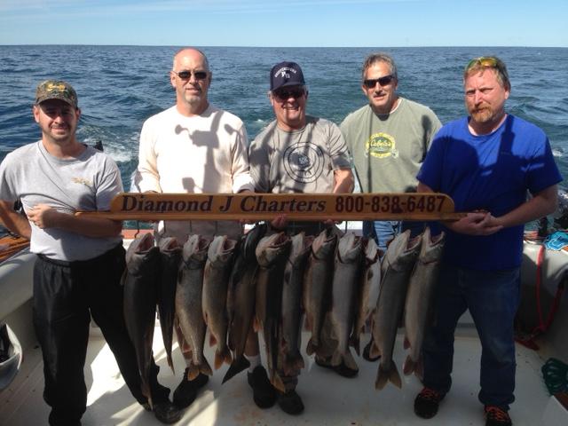 Image: https://us.v-cdn.net/5017260/uploads/editor/1y/iantmcm9jddw.jpg