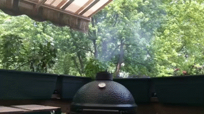 Image: https://us.v-cdn.net/5017260/uploads/editor/2d/76oah3zy2q9r.gif