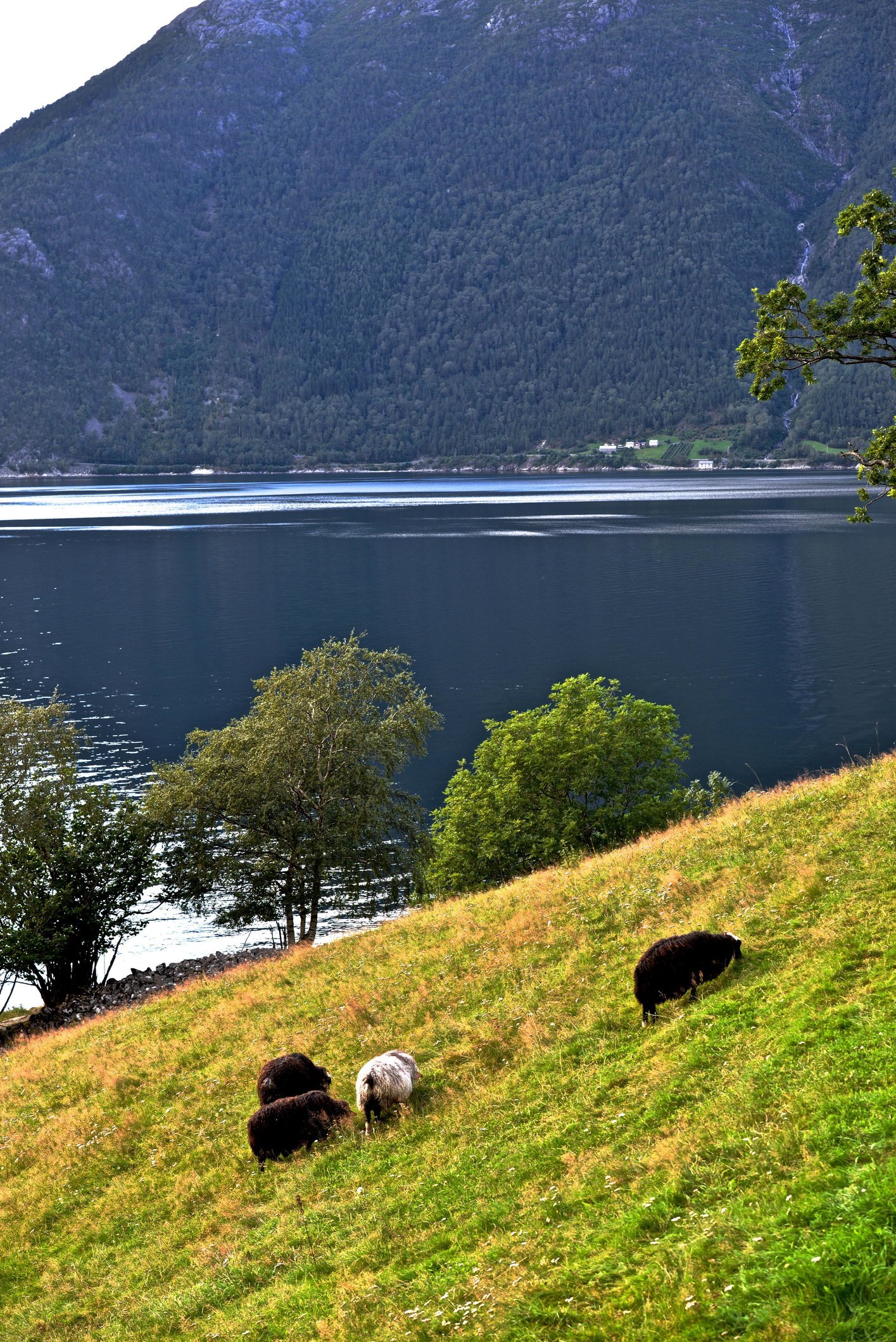 Image: https://us.v-cdn.net/5017260/uploads/editor/2n/7edrwbnqy08v.jpg