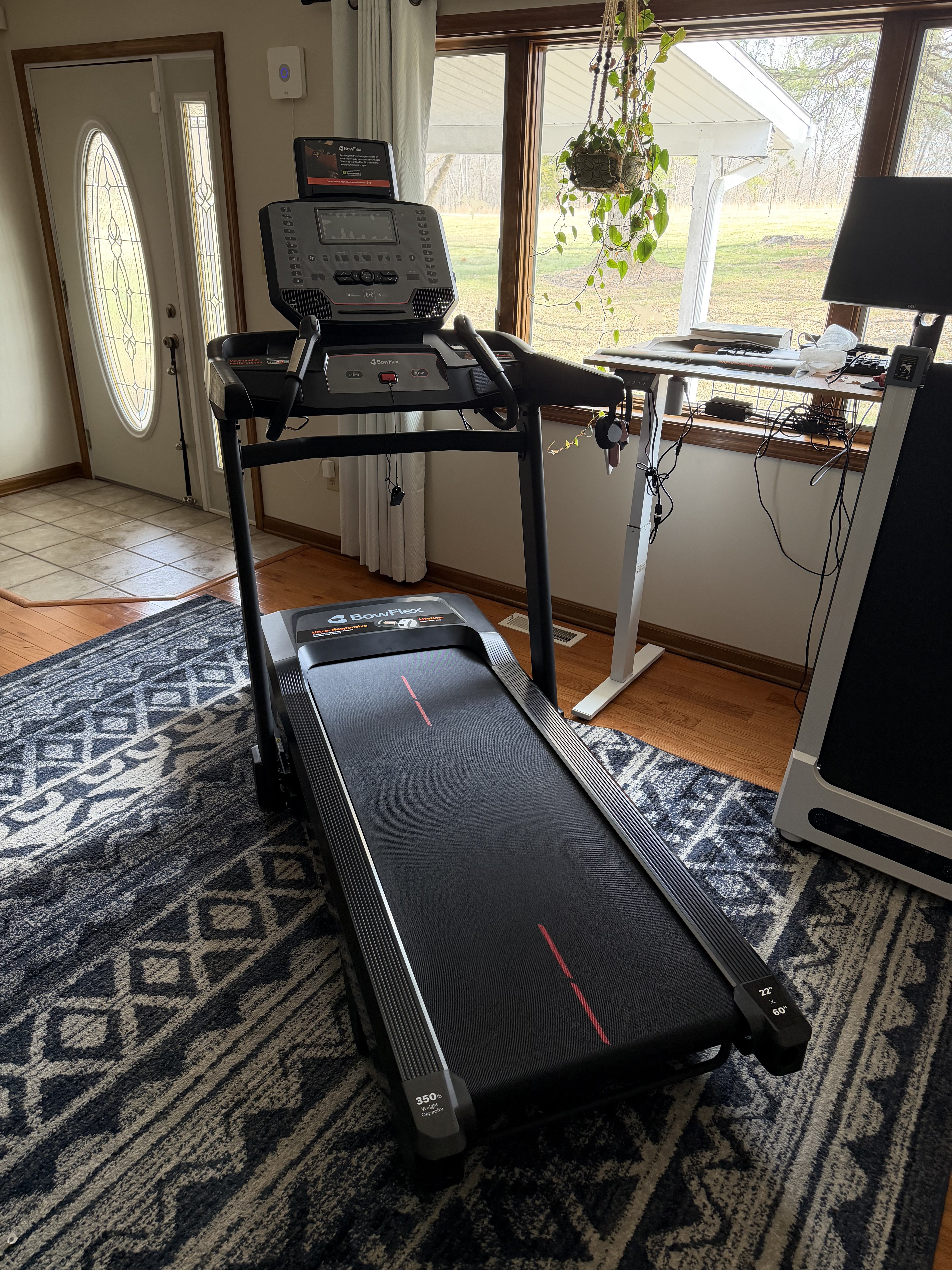 Image: https://us.v-cdn.net/5017260/uploads/editor/39/r2nq2nx8sesh.jpeg