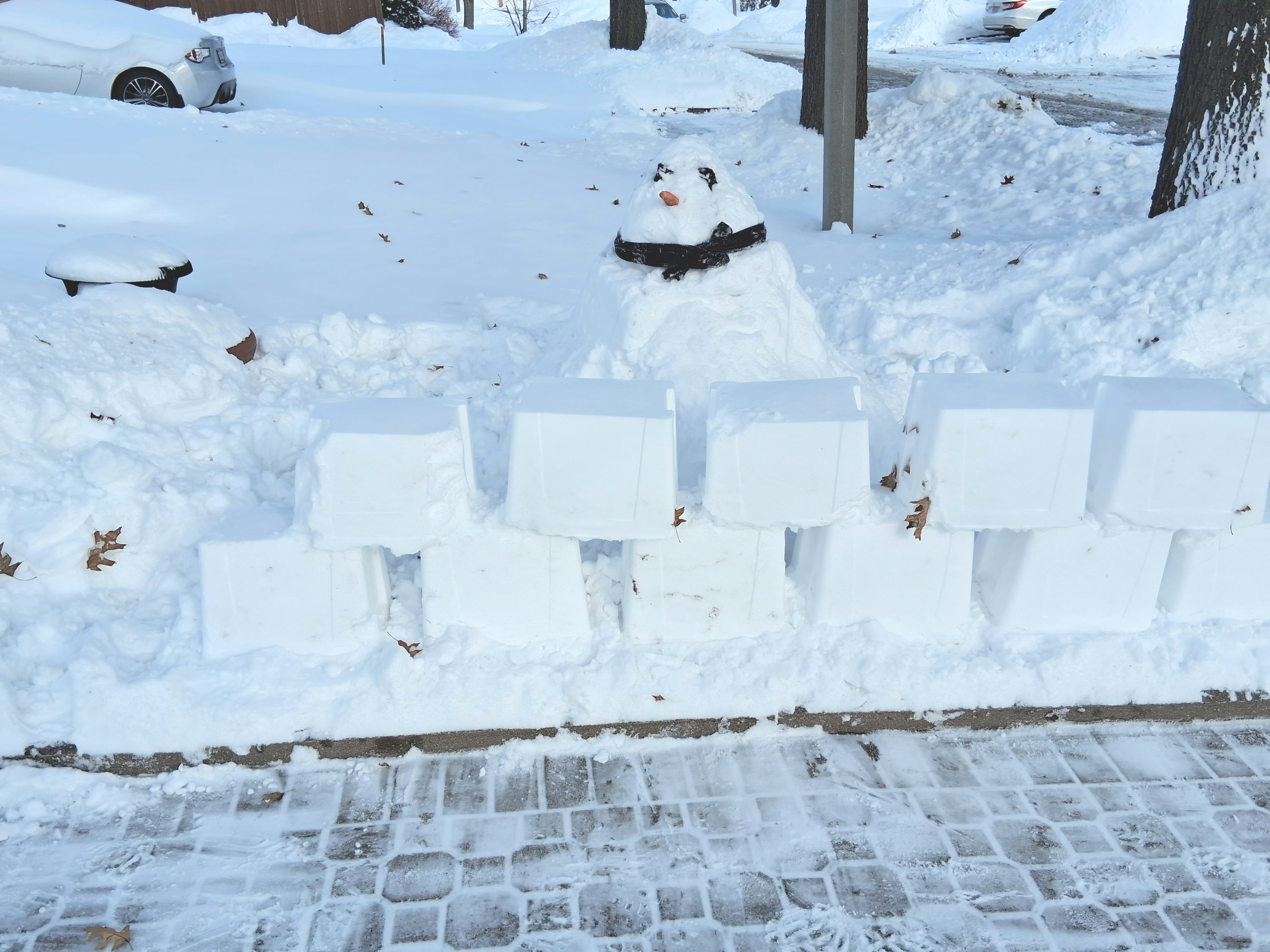 Image: https://us.v-cdn.net/5017260/uploads/editor/3j/7bzpwiikk1en.jpg