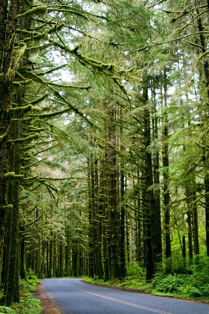 Image: https://us.v-cdn.net/5017260/uploads/editor/3x/j0w3hckwu026.jpg