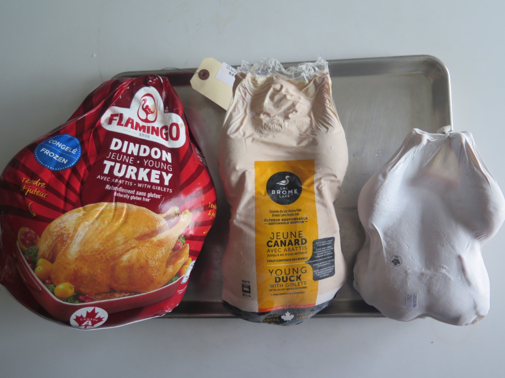 Image: https://us.v-cdn.net/5017260/uploads/editor/4j/e26wgf4mrru0.jpg