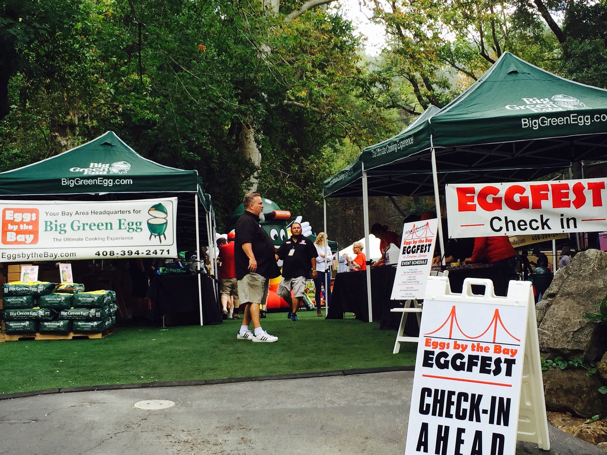 Image: https://us.v-cdn.net/5017260/uploads/editor/4v/kon9nwr1unjo.jpg