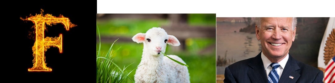 Image: https://us.v-cdn.net/5017260/uploads/editor/4w/grtumvzr6lfe.jpg