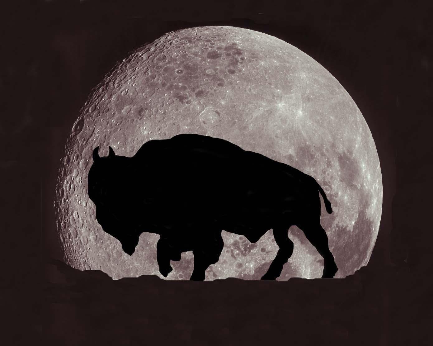 Image: https://us.v-cdn.net/5017260/uploads/editor/4z/xz6l0cai6hrv.jpg