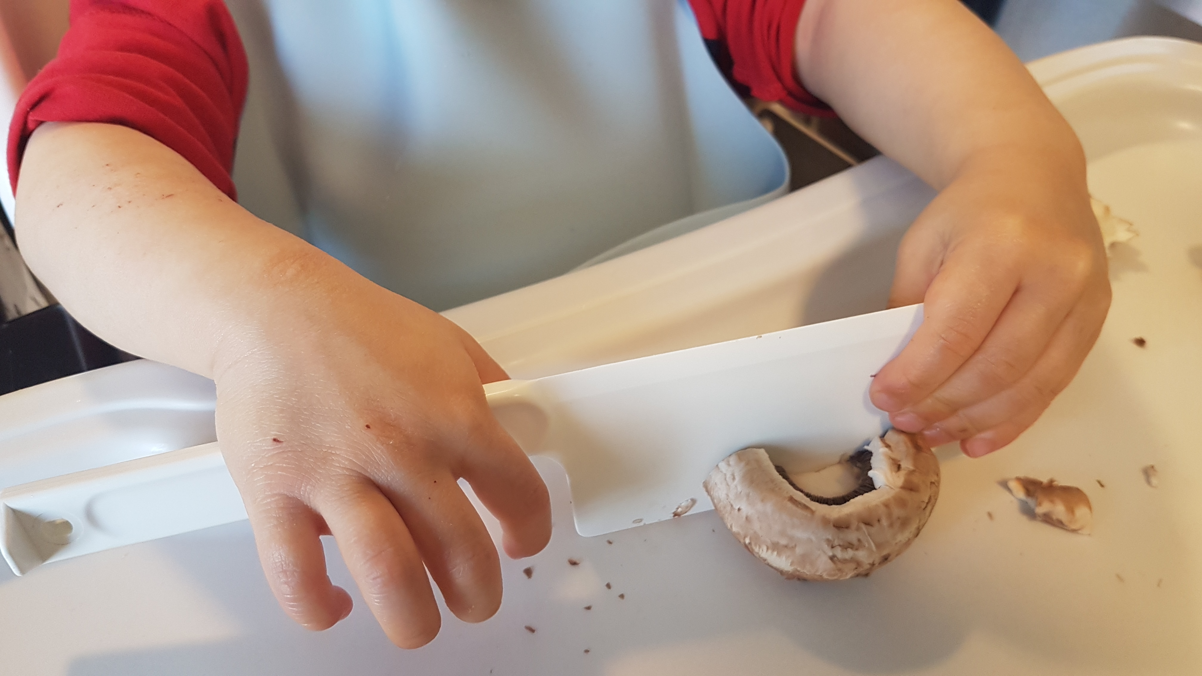 Image: https://us.v-cdn.net/5017260/uploads/editor/53/1dkjepm5x5h4.jpg