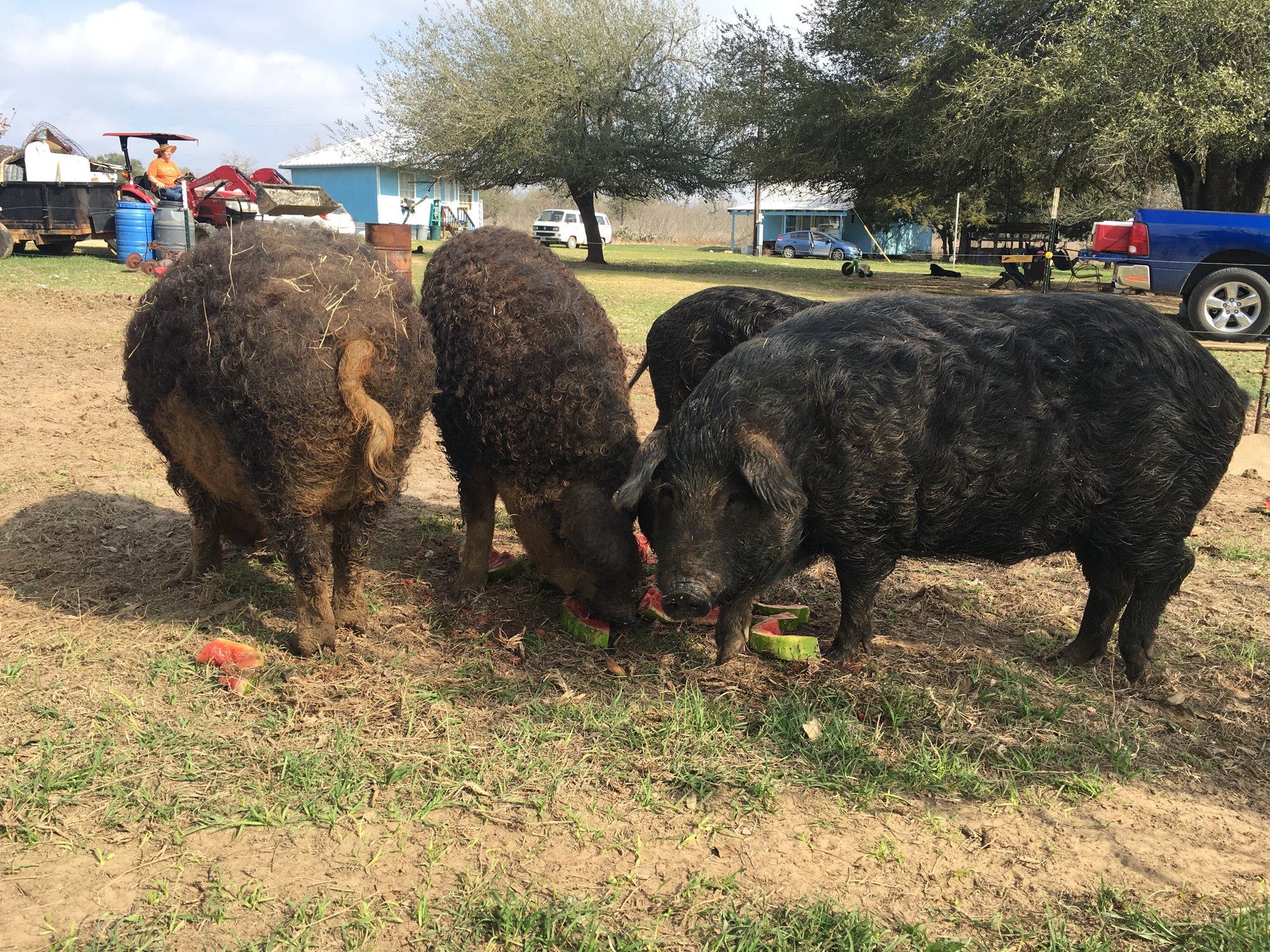 Image: https://us.v-cdn.net/5017260/uploads/editor/5b/jf0xp3zada67.jpg