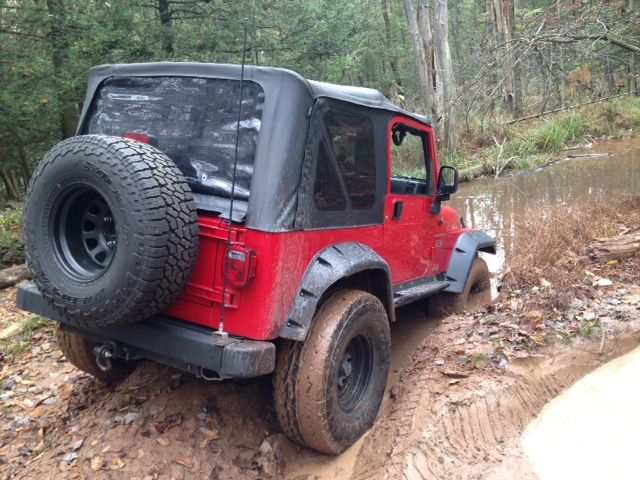 Image: https://us.v-cdn.net/5017260/uploads/editor/5r/qq9svicbvc3k.jpeg