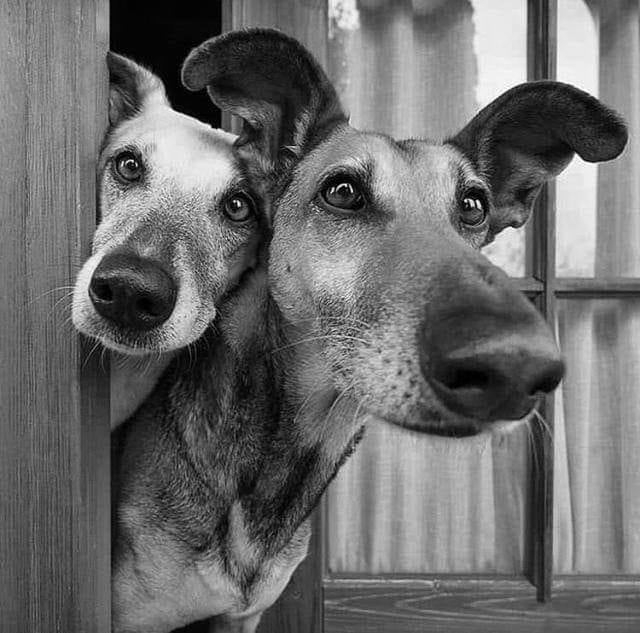 Image: https://us.v-cdn.net/5017260/uploads/editor/5s/9iyl54i9al0i.jpg