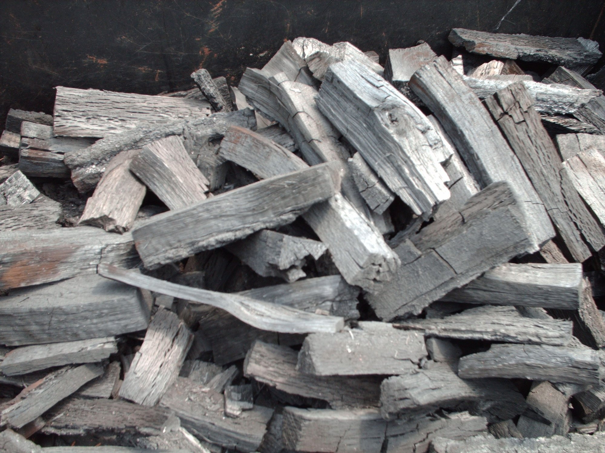 Image: https://us.v-cdn.net/5017260/uploads/editor/5x/crmtixz9sj5d.jpg