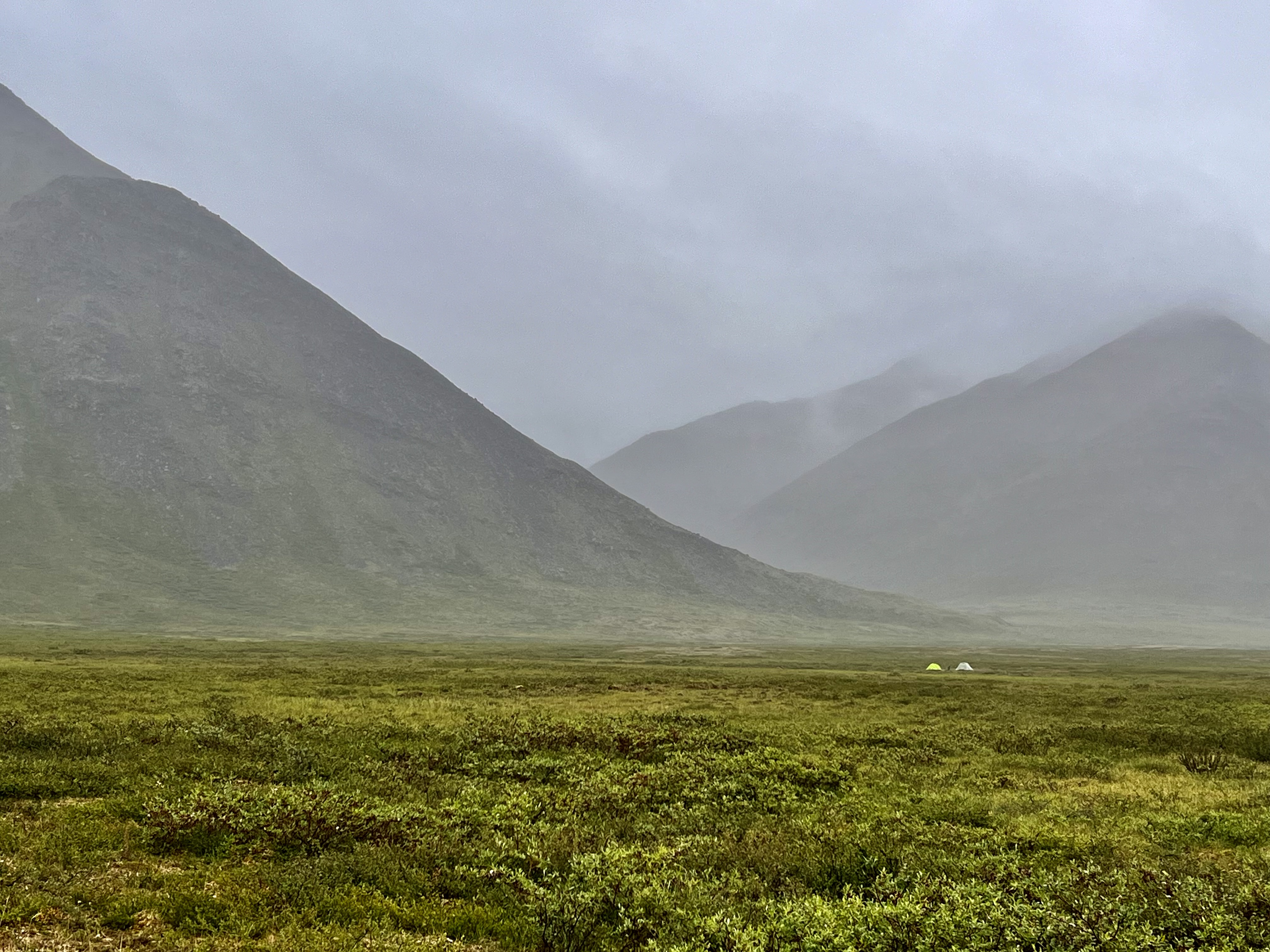 Image: https://us.v-cdn.net/5017260/uploads/editor/64/rpahqxic6m8g.jpeg