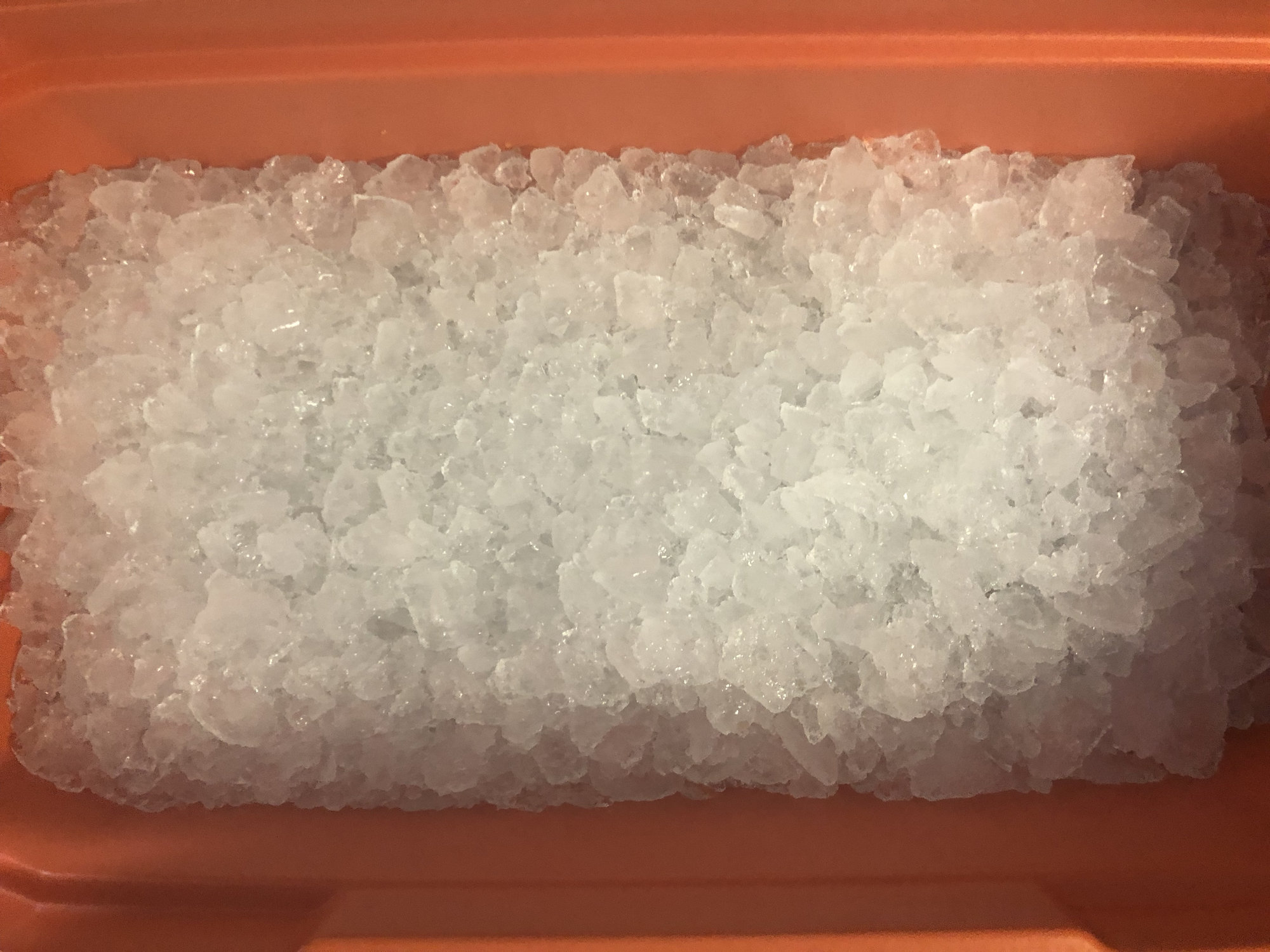 Image: https://us.v-cdn.net/5017260/uploads/editor/6l/q7z53quxt63r.jpeg