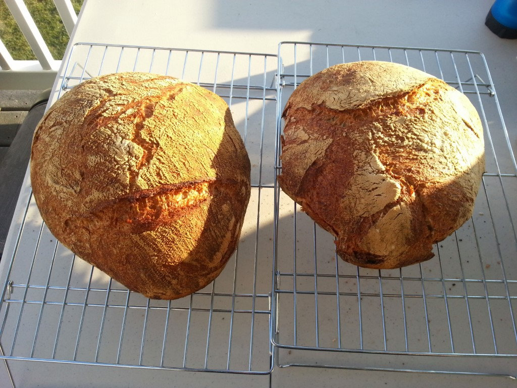 Image: https://us.v-cdn.net/5017260/uploads/editor/6w/wsf9ukkvi8i5.jpg