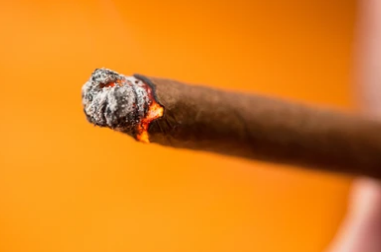 Image: https://us.v-cdn.net/5017260/uploads/editor/73/cs0vauqzv7g8.png