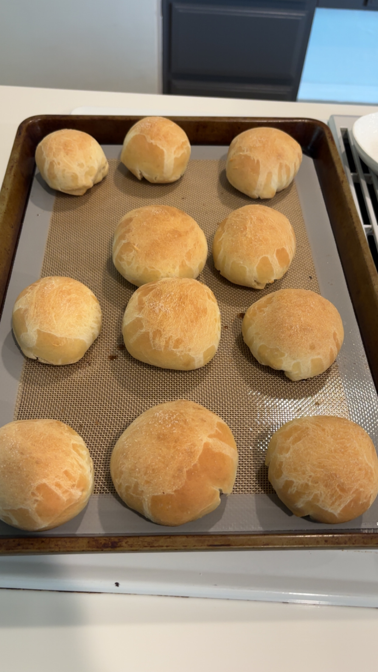 Image: https://us.v-cdn.net/5017260/uploads/editor/7d/jqz8qsobqr93.jpg