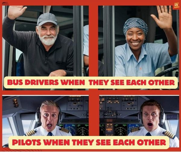 Image: https://us.v-cdn.net/5017260/uploads/editor/7n/kvw4cem0qkaw.jpg