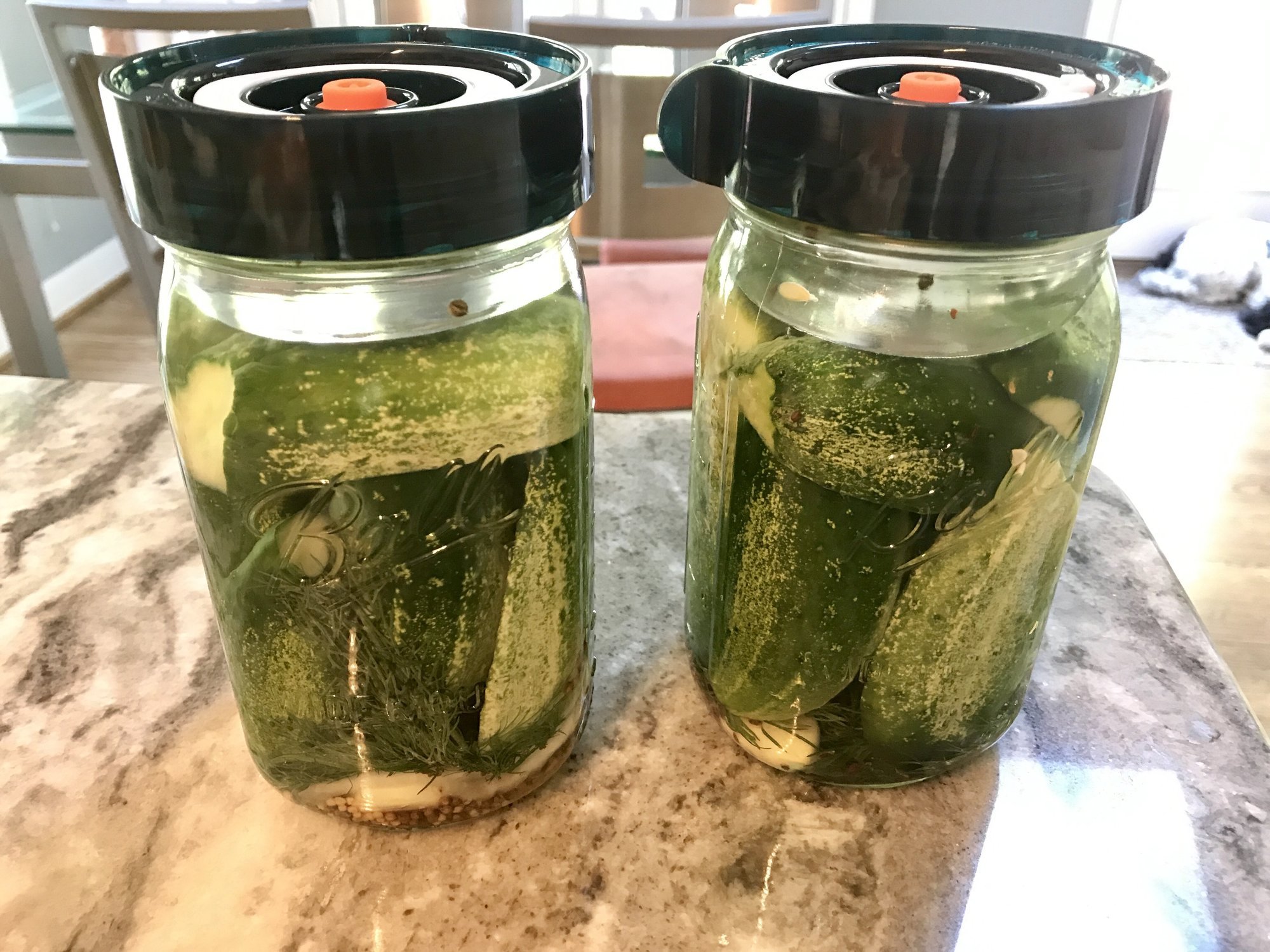 OT; Lactofermented Pickles — Big Green Egg Forum